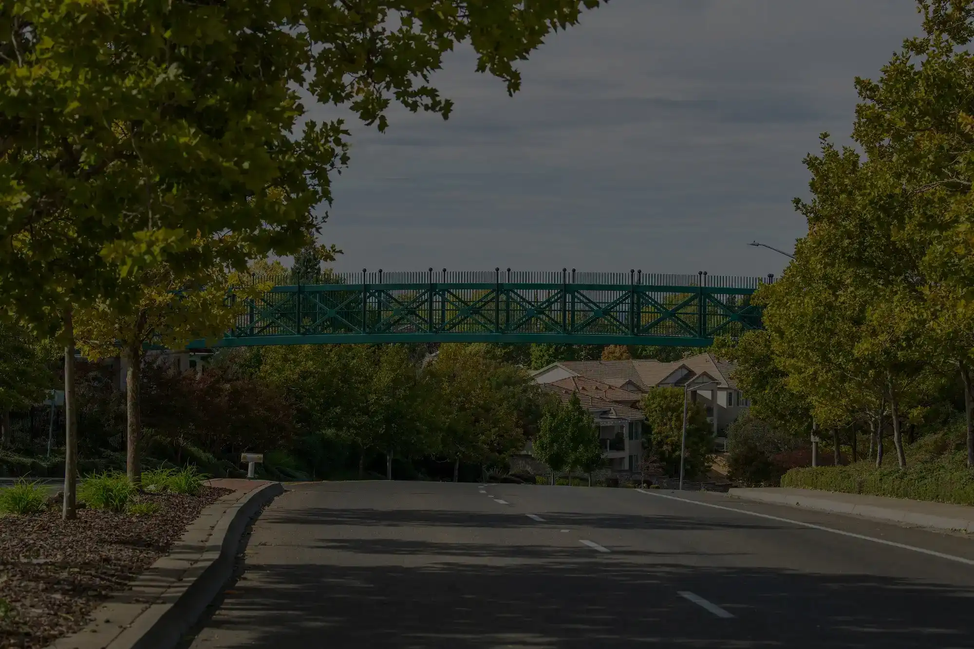 Tree-lined suburban road with a green pedestrian bridge overhead