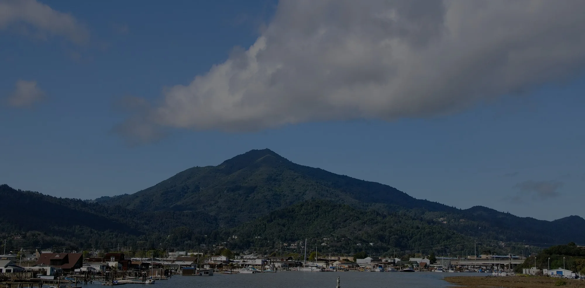 Mount Tamalpais rising above a bayside town and marina